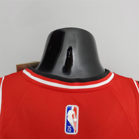 Camisa Regata NBA Chicago Bulls – Vermelha – #11 DeRozan – 75 Anos - Imagem 10
